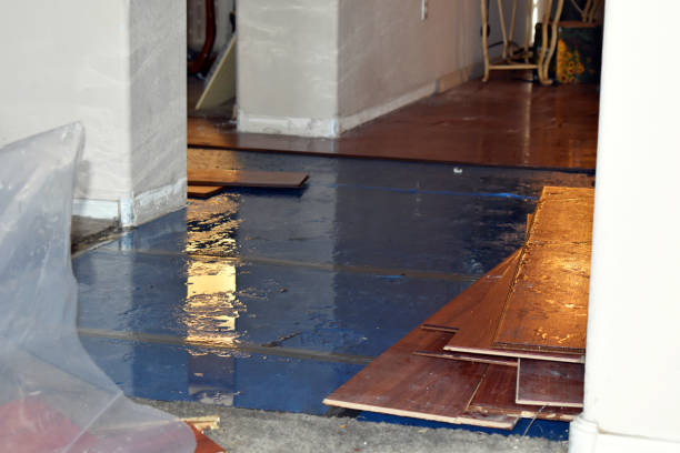 Professional Water Damage Restoration technician working in Brethren, MI